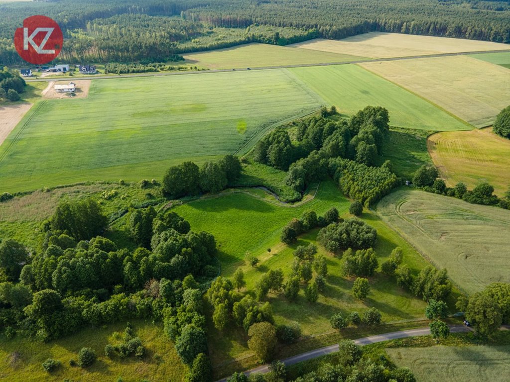 Działka budowlana na sprzedaż Żeleźnica  15 000m2 Foto 13