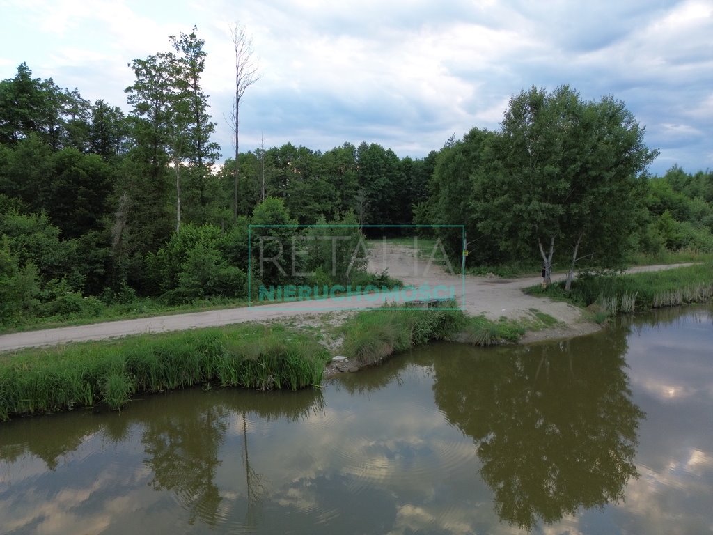 Działka siedliskowa na sprzedaż Kamionka  10 000m2 Foto 4