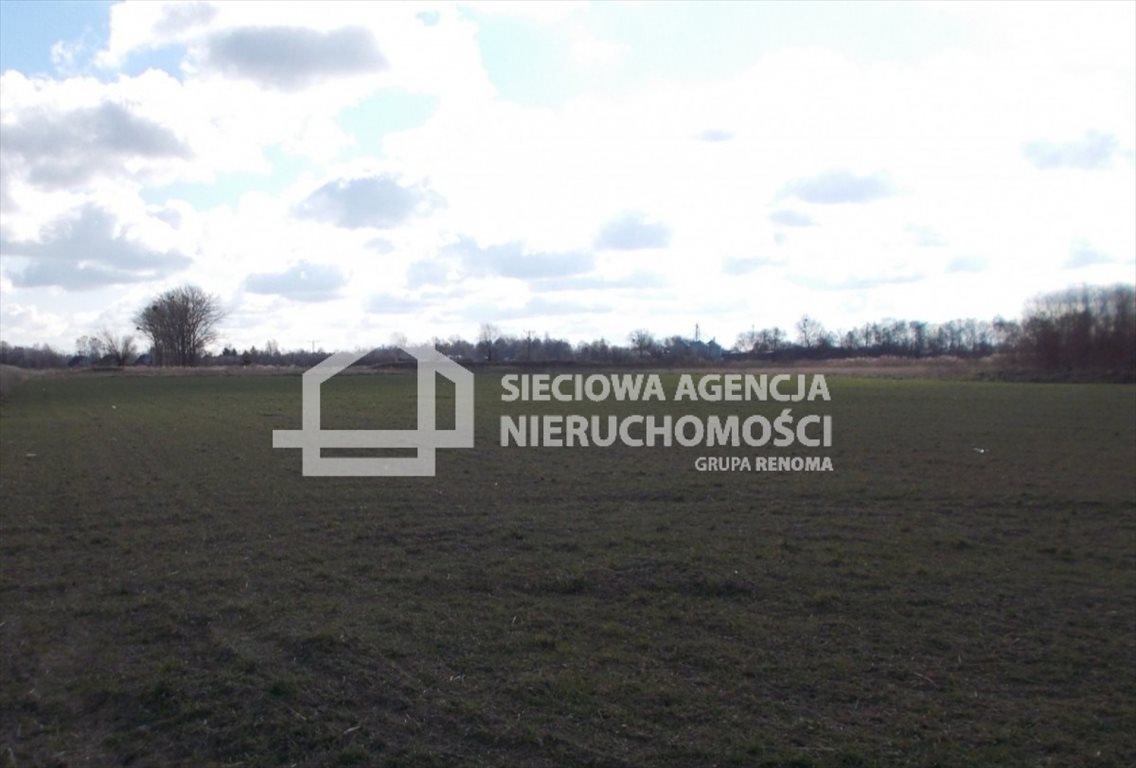 Działka rolna 12 000 m² pod zabudowę w Grabnie Grabno  12 000m2 Foto 1