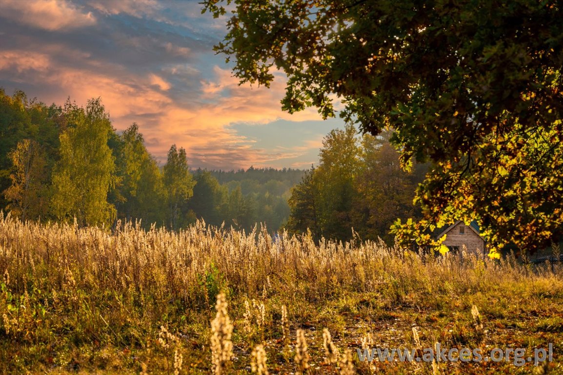 Działka budowlana na sprzedaż Jeziórka  1 998m2 Foto 1