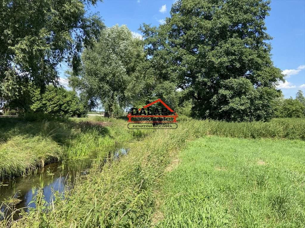Działka 11 150 m² z warunkami zabudowy i stawem Czersk  11 150m2 Foto 1