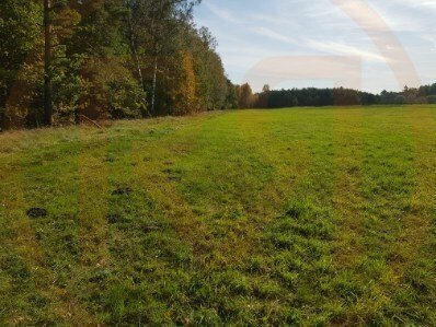 Działka rolna na sprzedaż Prostki  7 230m2 Foto 3