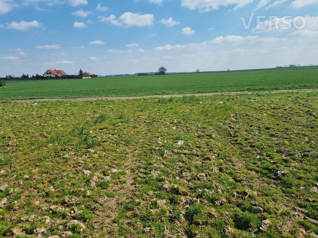 Działka budowlana na sprzedaż Źródła, Średzka  2 400m2 Foto 3