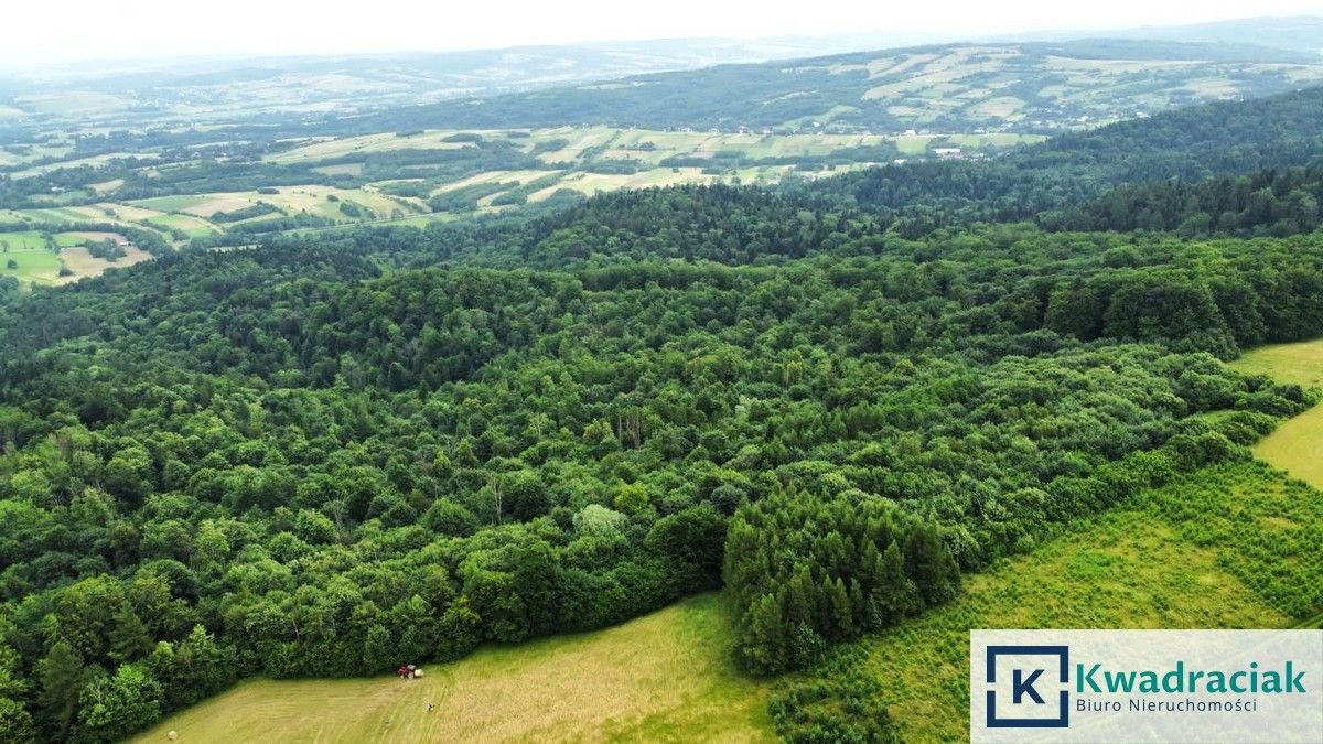 Działka leśna na sprzedaż Stary Żmigród  96 100m2 Foto 7