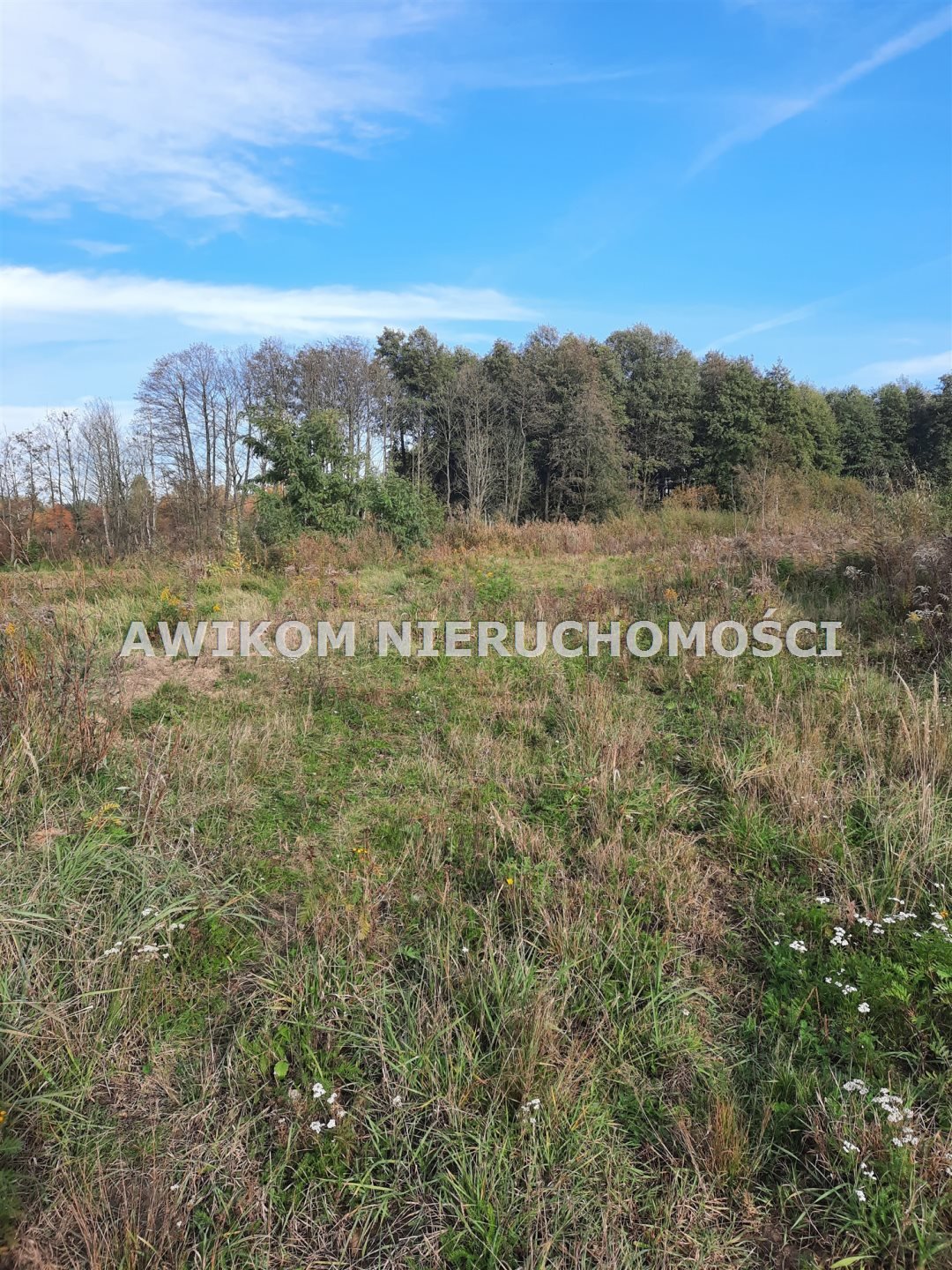 Polecam działkę 7997 m² z stawem w Grodzisku Mazowieckim Grodzisk Mazowiecki, Szczęsne  7 997m2 Foto 1