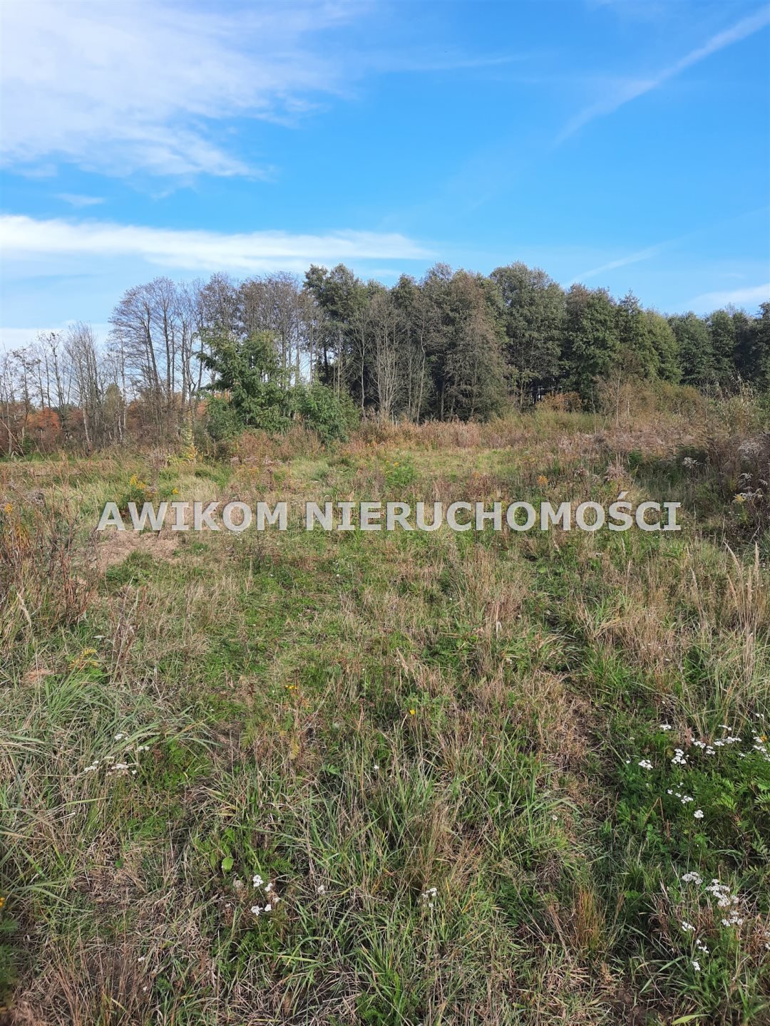 Działka inna na sprzedaż Grodzisk Mazowiecki, Szczęsne  7 997m2 Foto 1