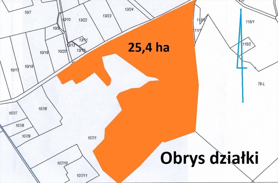 Działka 25 ha nad jeziorem Sarbsk z lasem i dojazdem asfaltowym Sarbsk  254 000m2 Foto 1