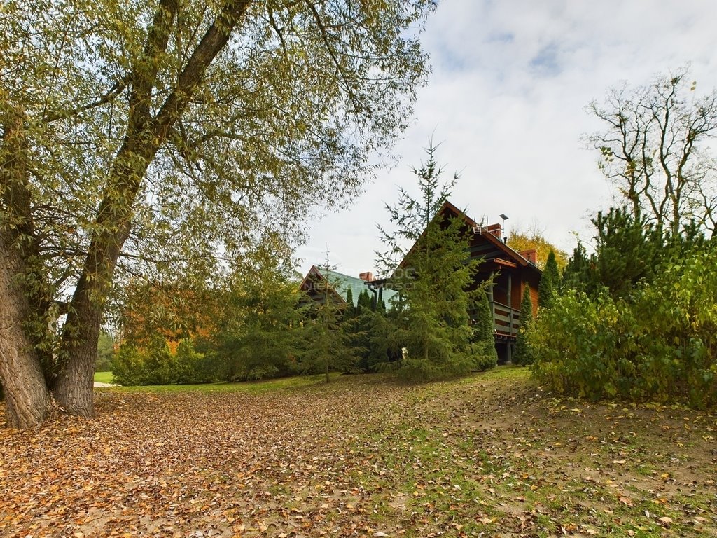 Lokal użytkowy na sprzedaż Wojnowo, Linie  27 913m2 Foto 7