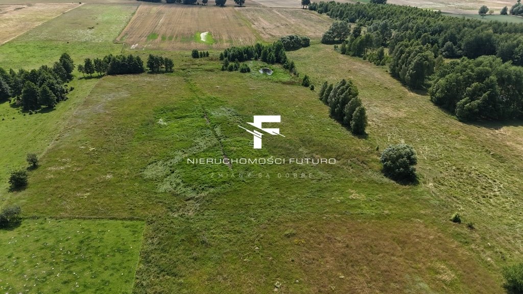 Działka budowlana na sprzedaż Modrzewo  24 400m2 Foto 3