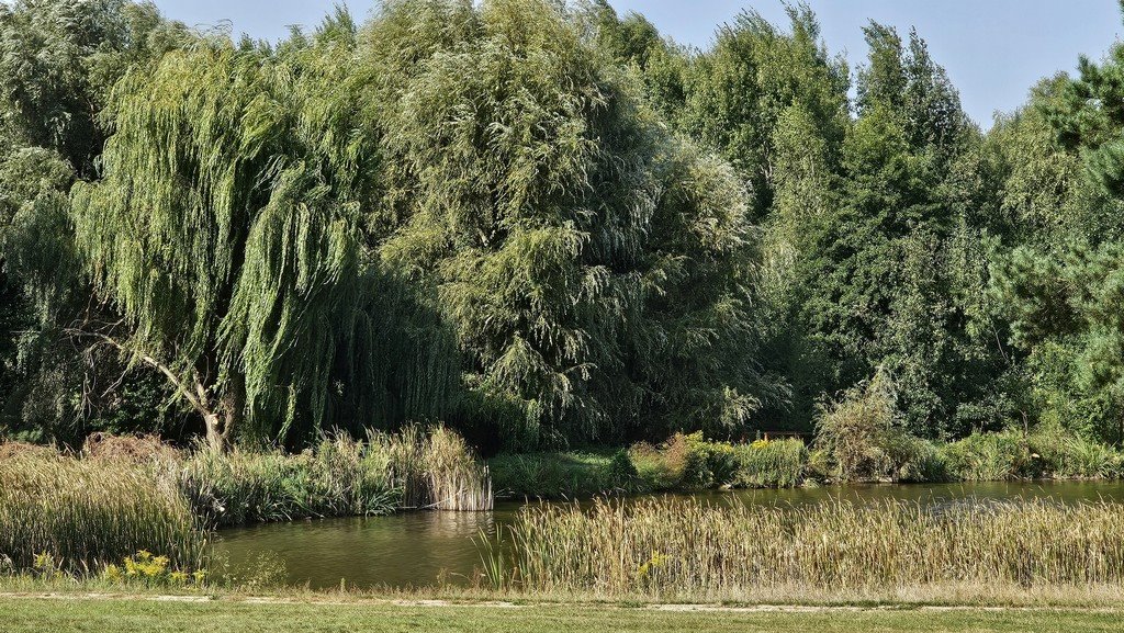 Działka budowlana na sprzedaż Pałecznica  2 100m2 Foto 17