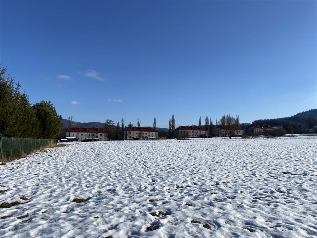 Działka budowlana na sprzedaż Cisownica, Cisownica, Jana Ożany  729m2 Foto 2