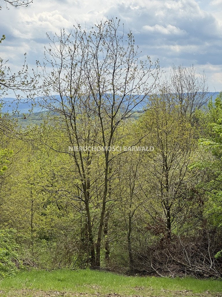 Działka budowlana 96 arów z mediami i możliwością podziału Lanckorona  9 618m2 Foto 1