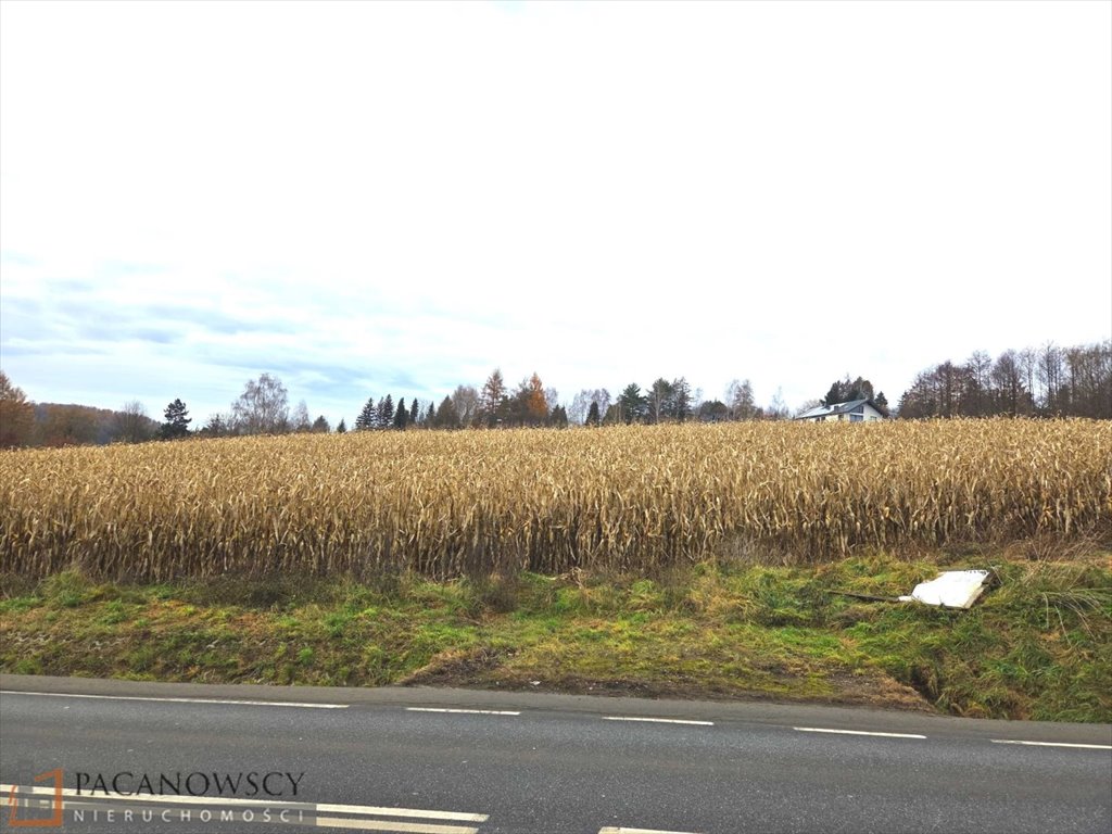 Działka rolna na sprzedaż Januszowice  2 370m2 Foto 1