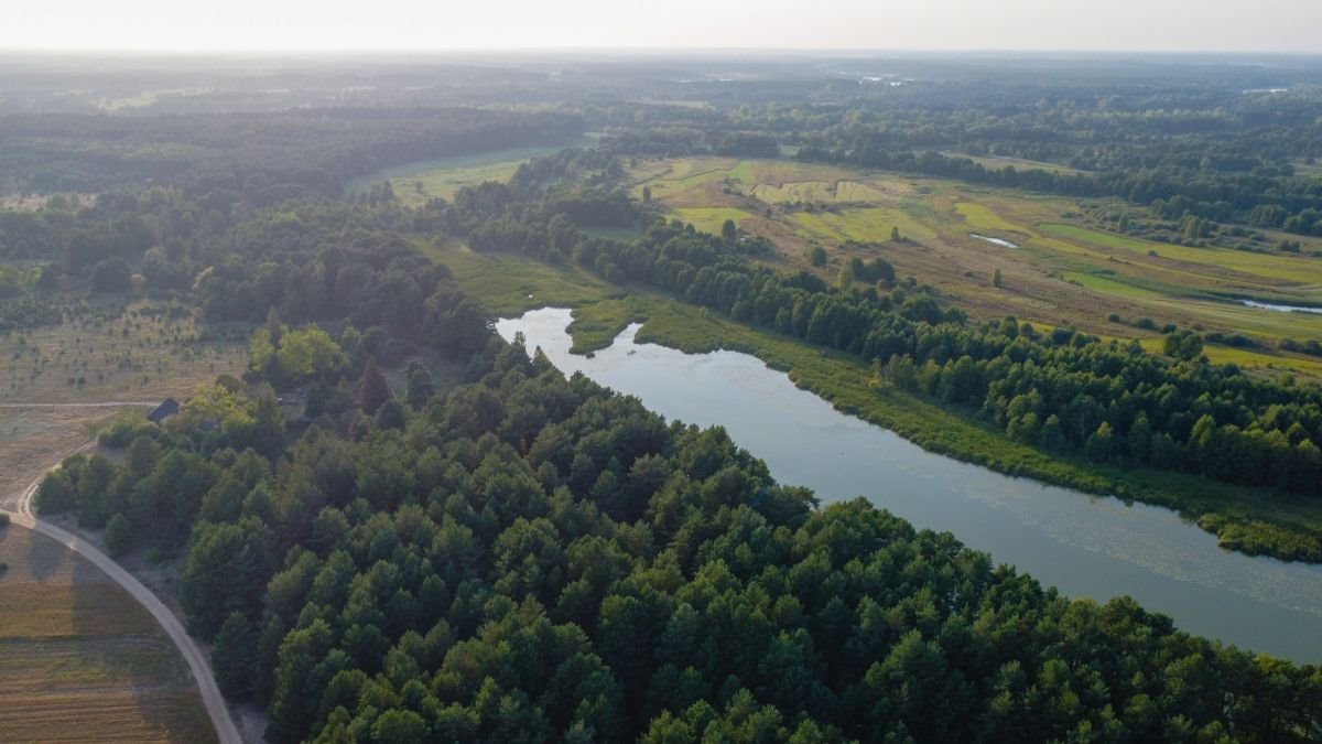 Działka inwestycyjna na sprzedaż Grądy Szlacheckie, Julianka  80 600m2 Foto 7