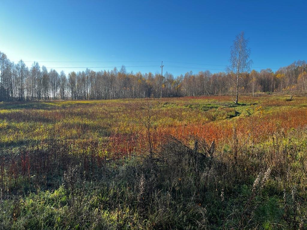 Działka siedliskowa na sprzedaż Zadry  70 600m2 Foto 5