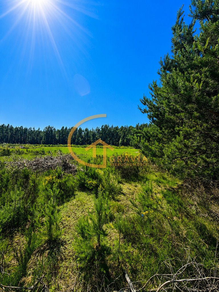 Działka 3335 m² z lasem i potencjałem inwestycyjnym zapraszam Nowy Dwór Wejherowski, Nowy Dwór Wejherowski, Rekreacyjna  3 335m2 Foto 1