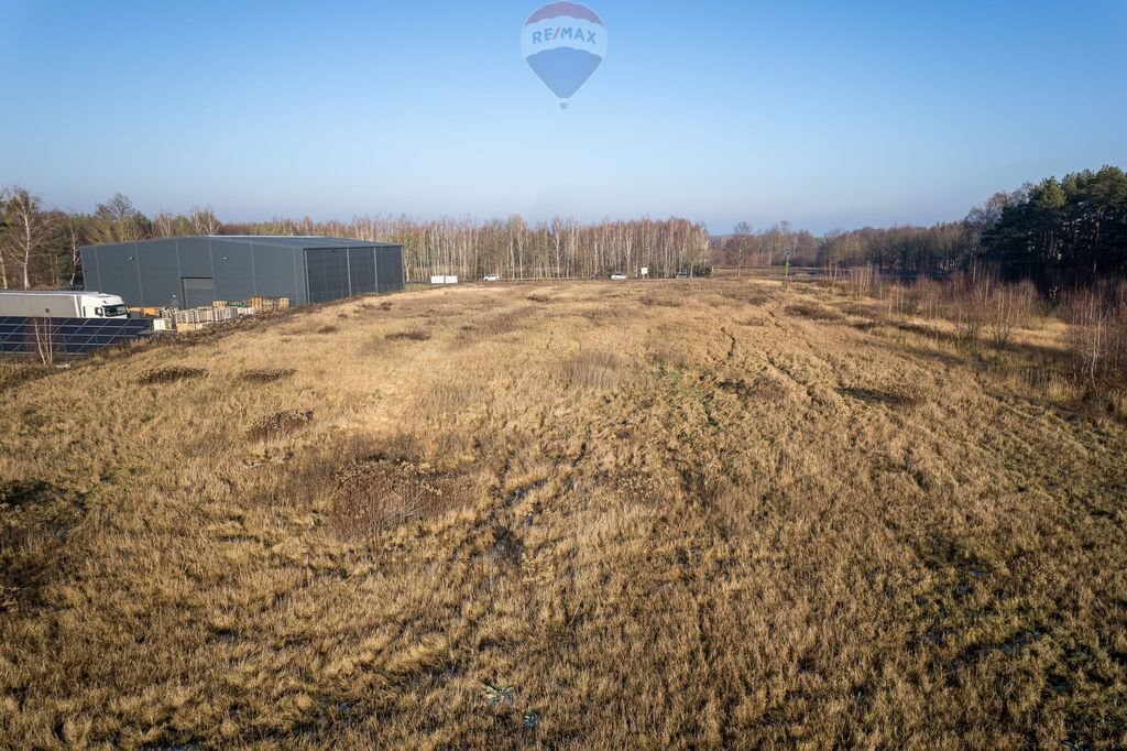 Działka komercyjna na sprzedaż Rogożewek  12 720m2 Foto 2