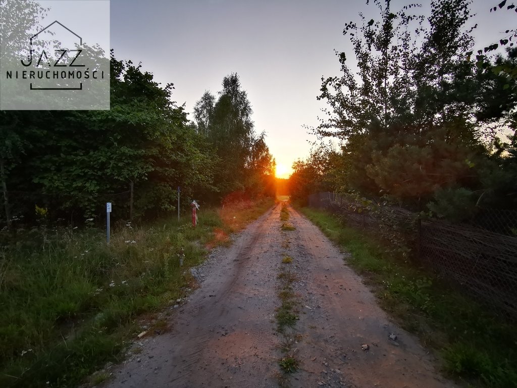 Działka siedliskowa na sprzedaż Ulinia  25 483m2 Foto 9