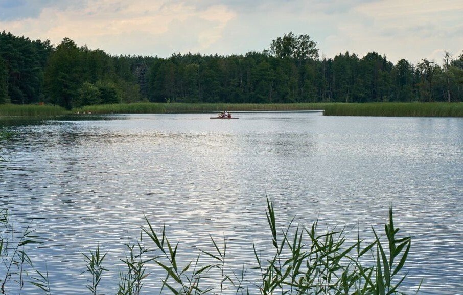 Działka budowlana na sprzedaż Zalesie  134 500m2 Foto 1