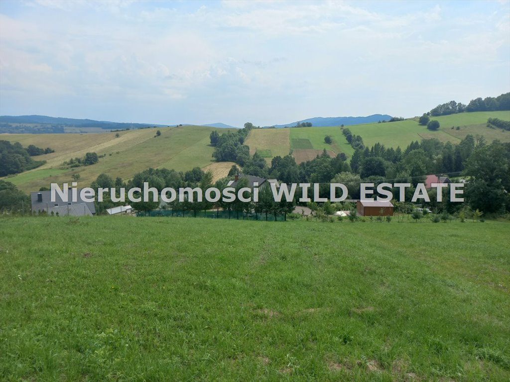 Działka budowlana na sprzedaż Baligród, Mchawa  2 171m2 Foto 1