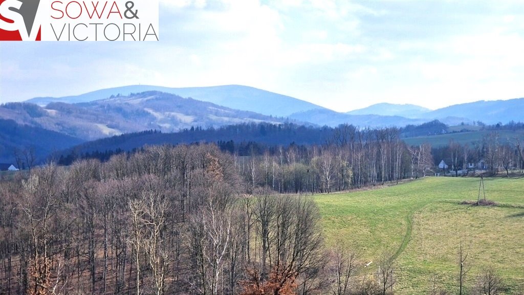 Działka budowlana na sprzedaż Zagórze Śląskie  2 100m2 Foto 2