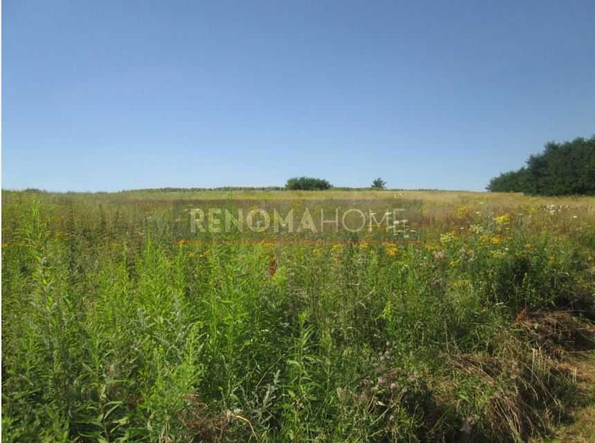 Działka budowlana na sprzedaż Świebodzice, Ciernie  1 777m2 Foto 1
