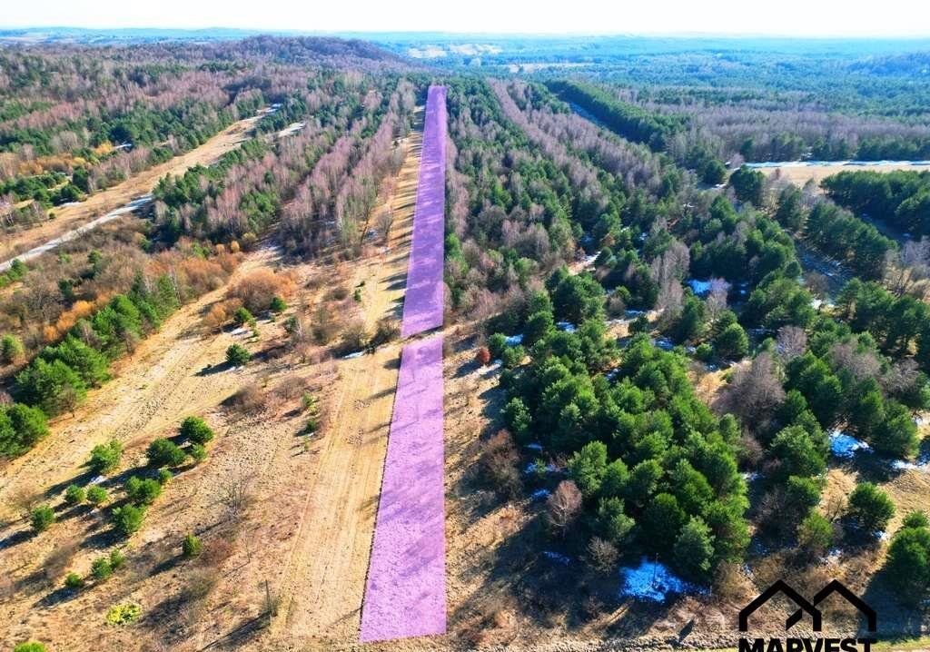 Działka rolna na sprzedaż Niegowa  7 751m2 Foto 2