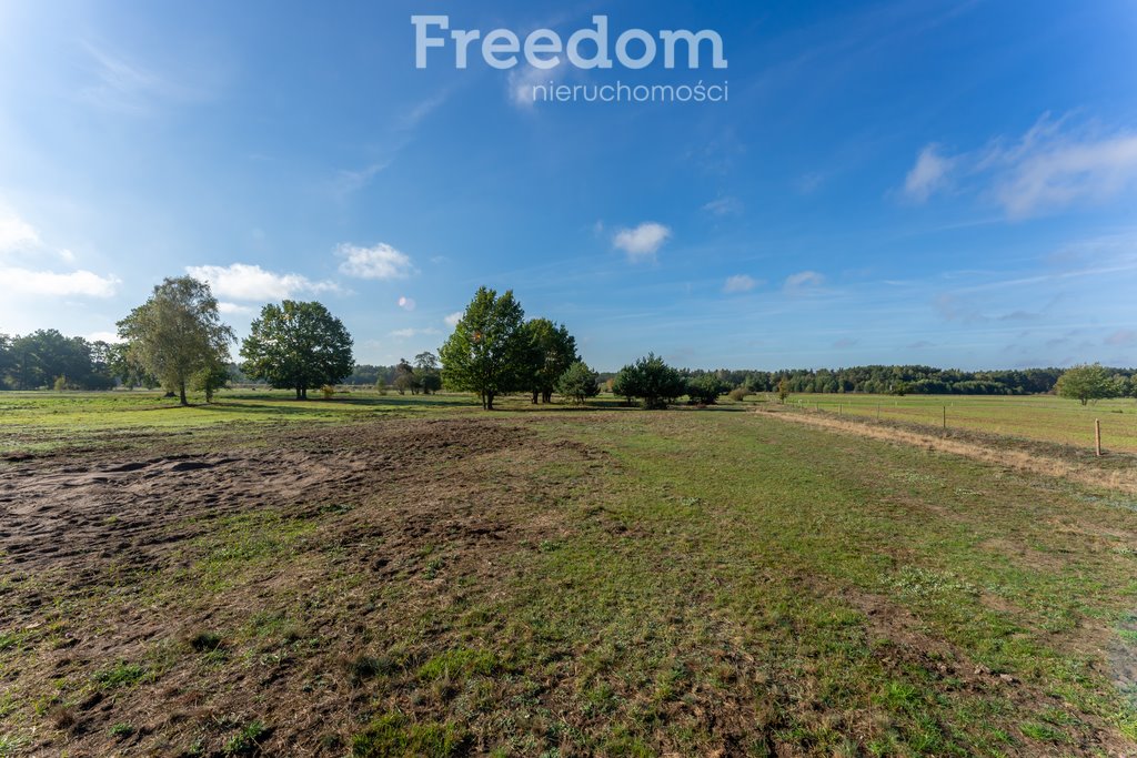 Działka budowlana na sprzedaż Borki, Błękitna  28 300m2 Foto 5