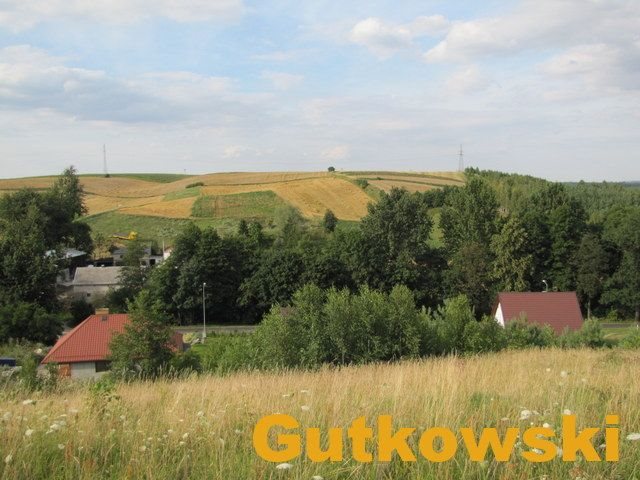 Działka rolna na sprzedaż Łąki Bratiańskie, Gmina Nowe Miasto Lubawskie  3 036m2 Foto 7