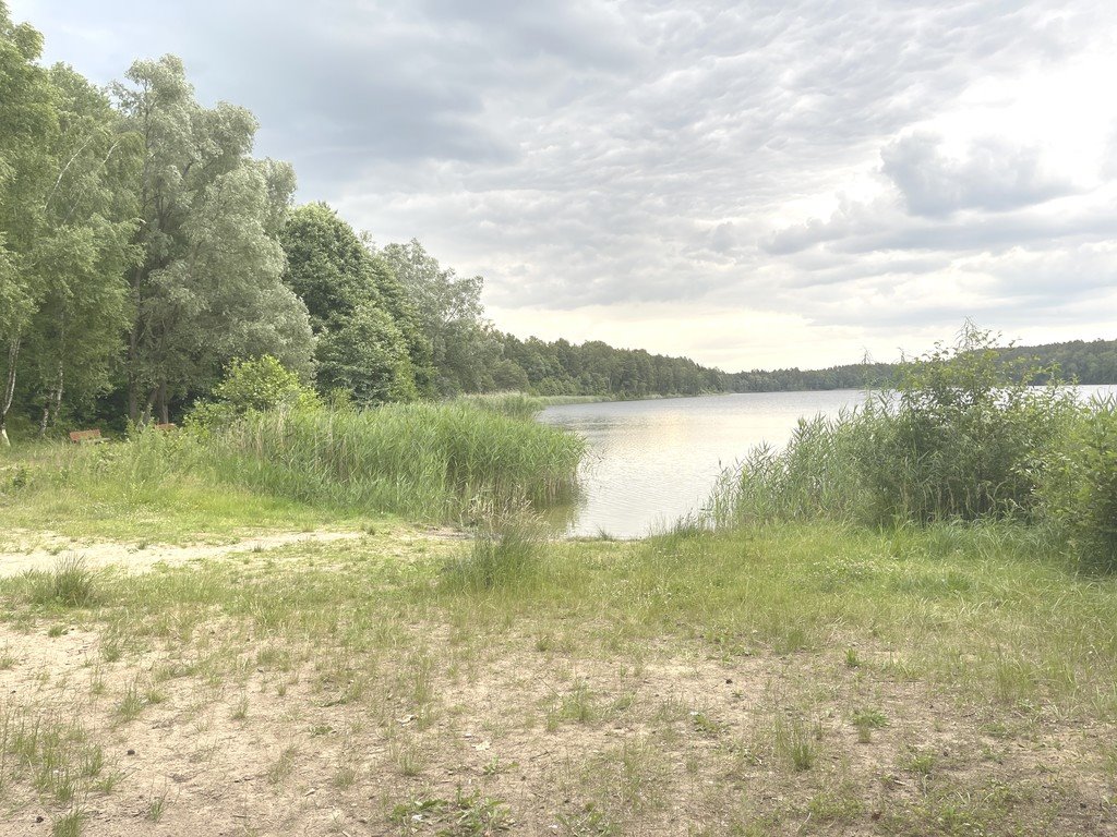 Działka budowlana na sprzedaż Czarnogłowy, Piaskowa  1 300m2 Foto 17