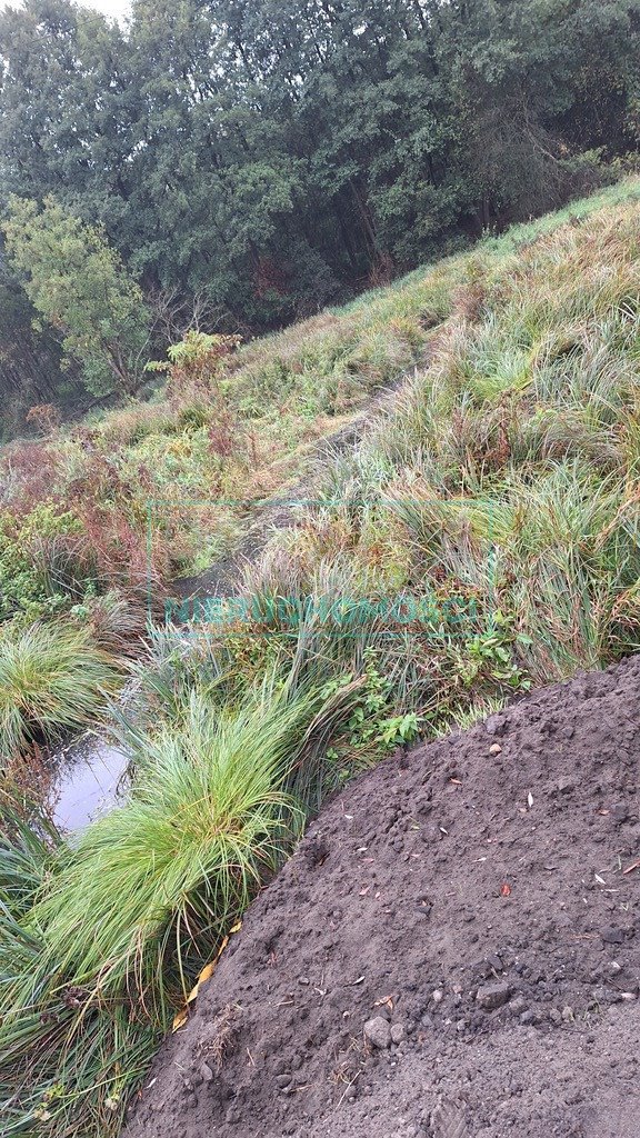 Działka siedliskowa na sprzedaż Kamionka  10 000m2 Foto 6