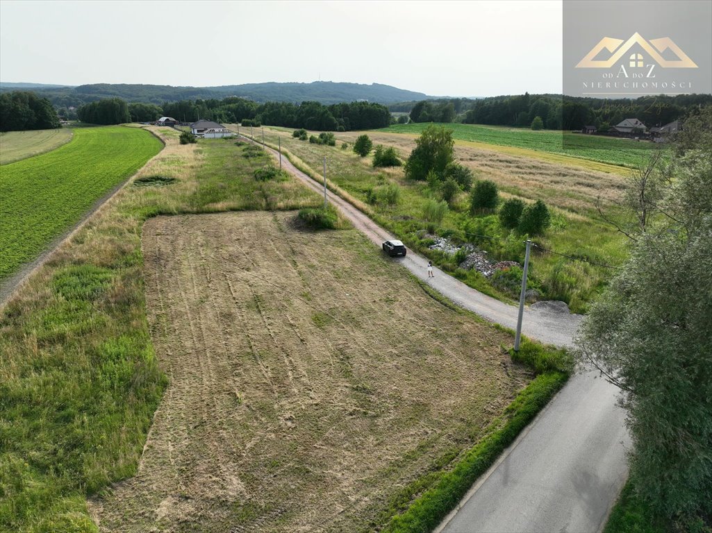 Działka budowlana na sprzedaż Skrzyszów  1 216m2 Foto 4