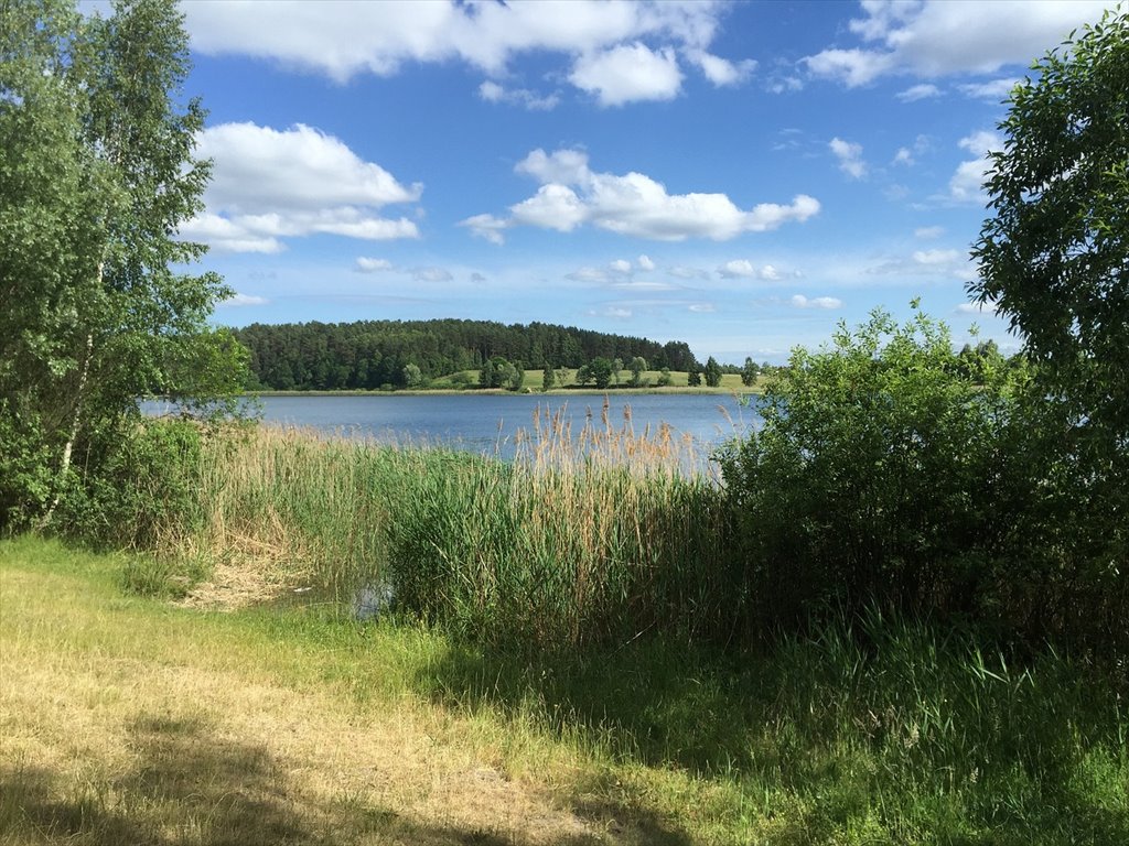 Działka budowlana na sprzedaż Nowe Rumunki, Nowe Rumunki 12  2 400m2 Foto 4