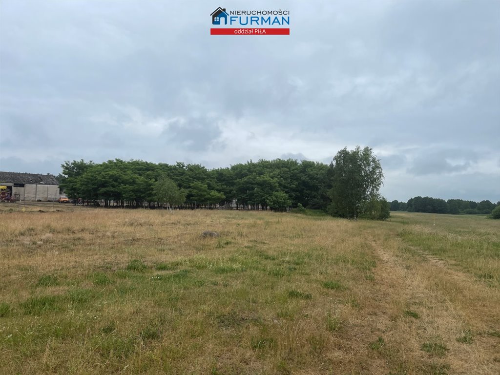 Działka 4943 m2 w Stobnie, płaska, media w drodze Stobno  4 943m2 Foto 1