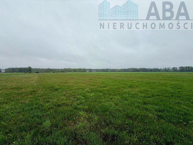 Działka rolna na sprzedaż Młyny Piekarskie  62 374m2 Foto 1