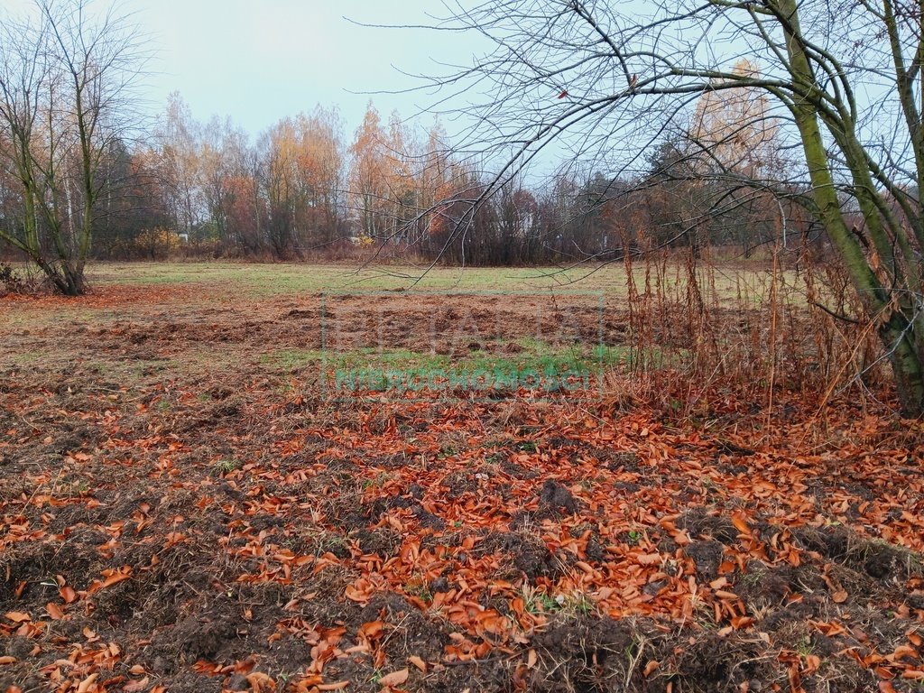 Działka budowlana na sprzedaż Rusiec  1 000m2 Foto 7