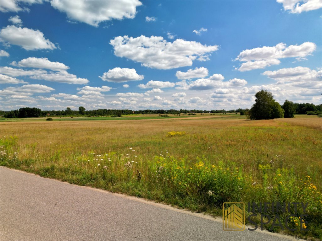 Działka siedliskowa na sprzedaż Ojrzanów-Towarzystwo  25 000m2 Foto 5