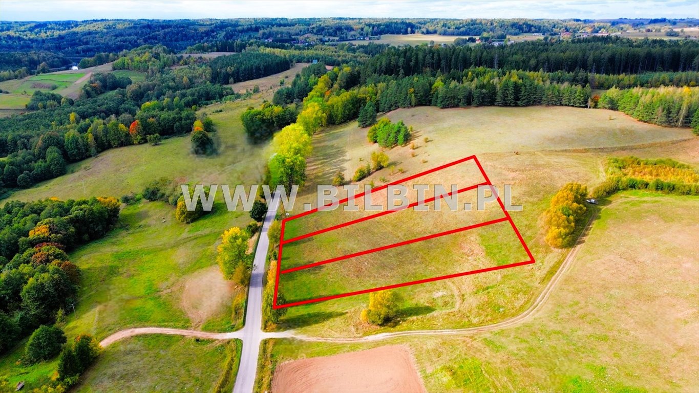 Działka inna na sprzedaż Kleszczówek  3 100m2 Foto 3