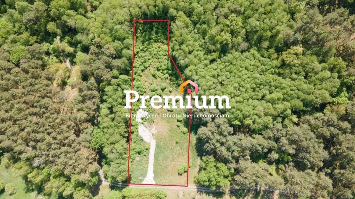 Działka budowlana na sprzedaż Płoty  5 130m2 Foto 1