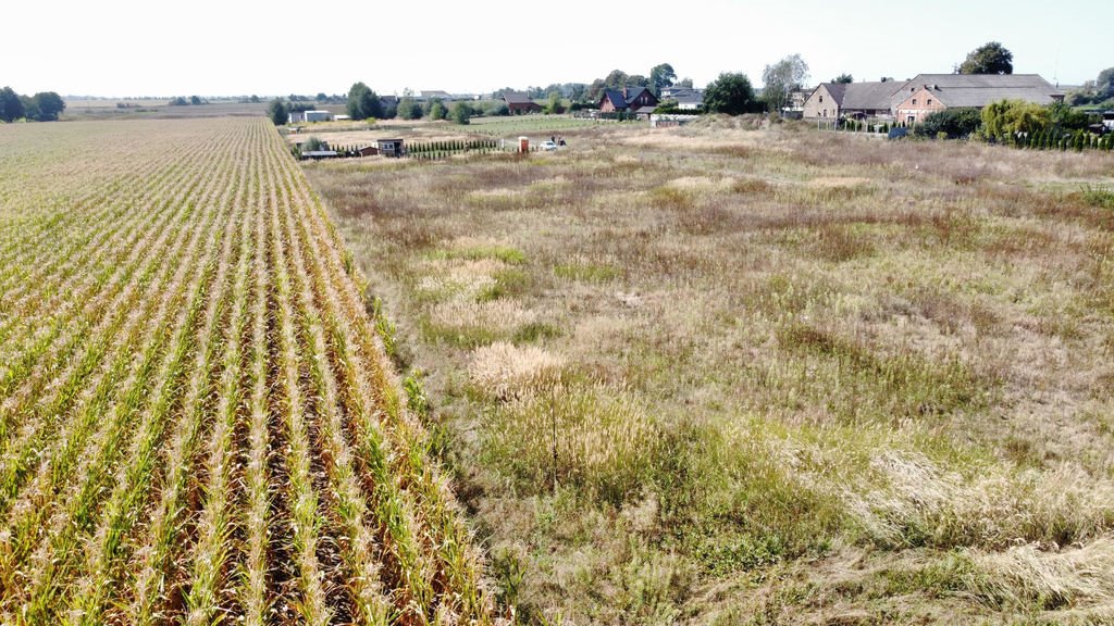 Działka budowlana na sprzedaż Dominowo, Jodłowa  847m2 Foto 3