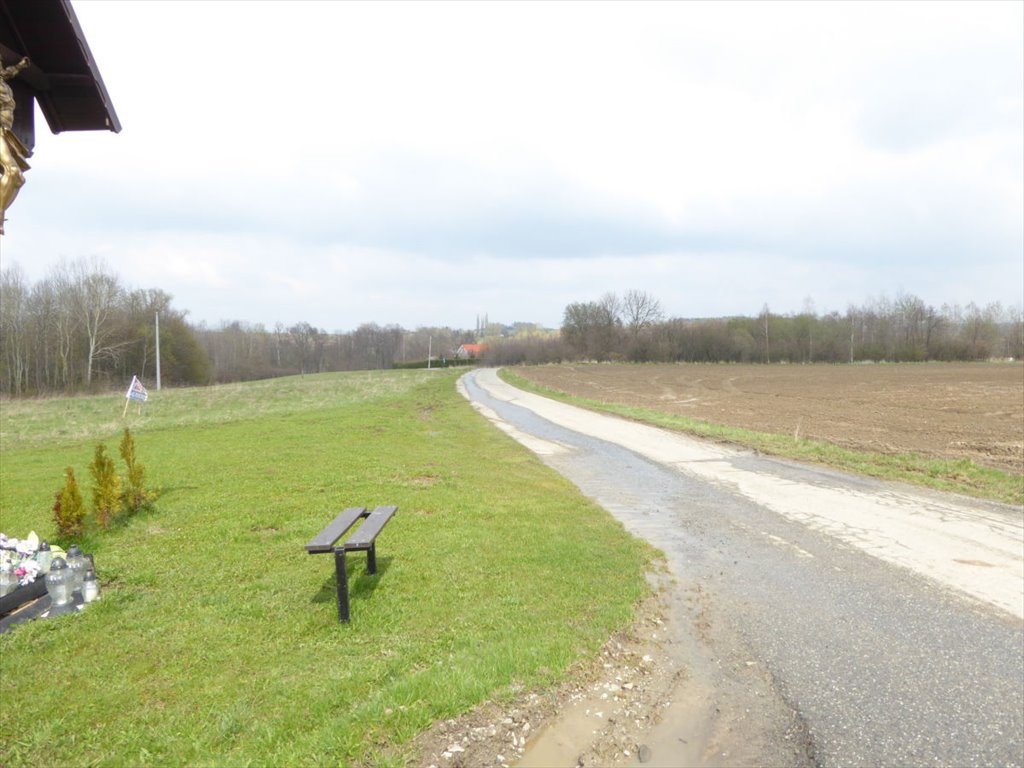 Działka budowlana na sprzedaż Polanica-Zdrój, Starków  6 400m2 Foto 6