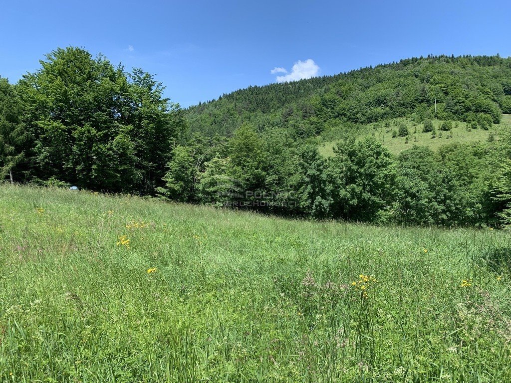 Działka budowlana na sprzedaż Kamionka Wielka  4 500m2 Foto 5