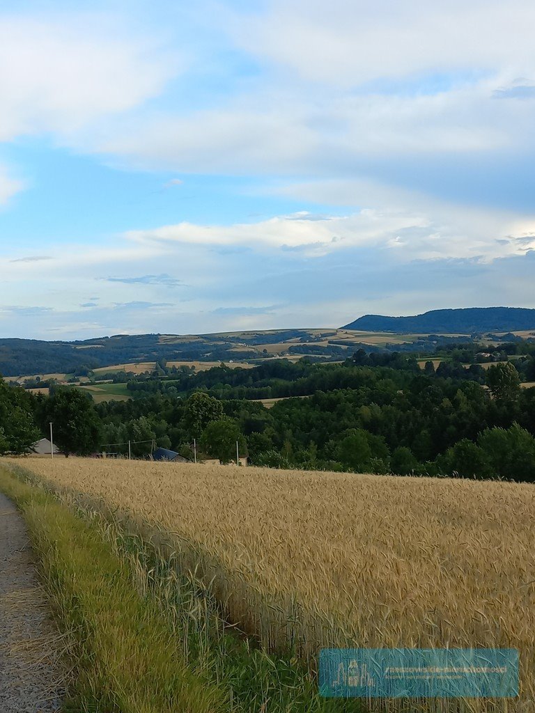 Działka budowlana na sprzedaż Brzeziny  1 250m2 Foto 2