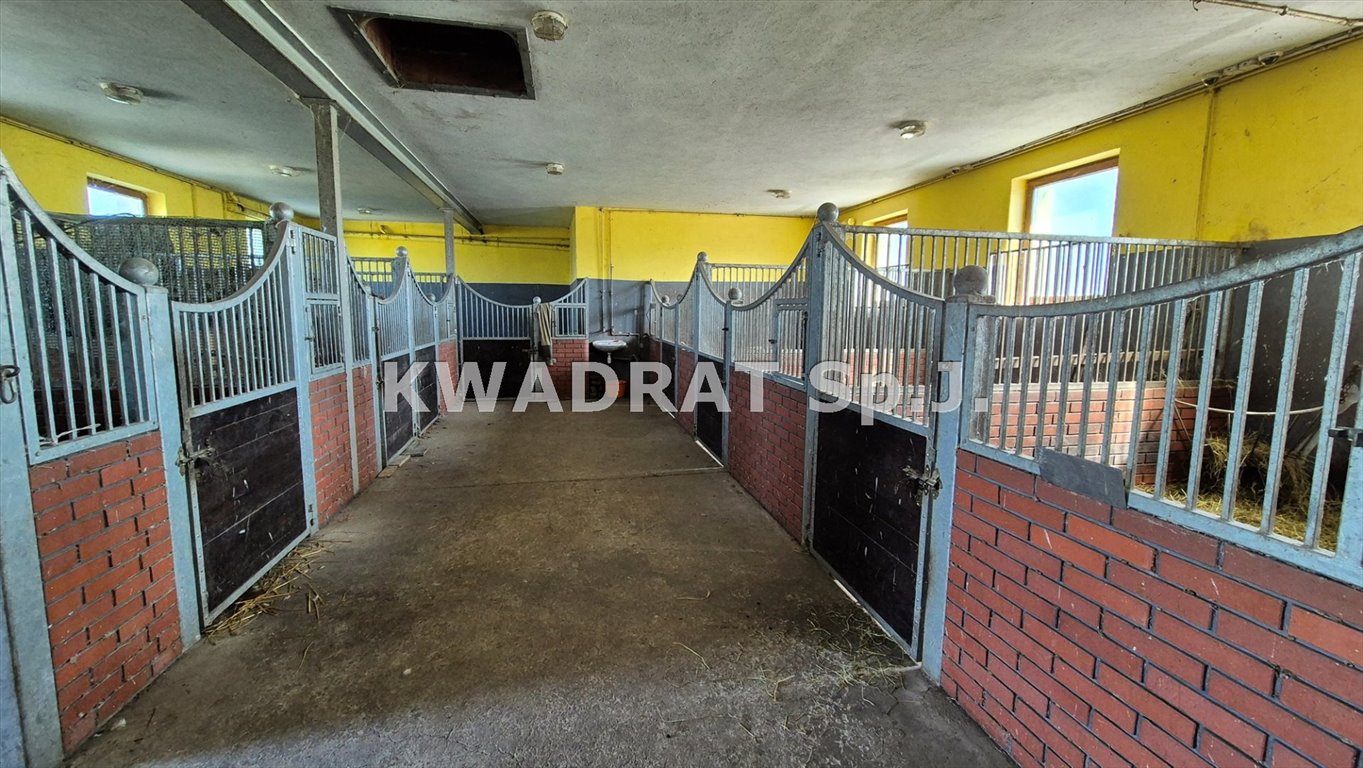 Lokal użytkowy na sprzedaż Dąbie  450m2 Foto 13