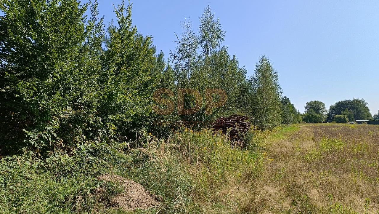 Działka budowlana na sprzedaż Kotowice, Leśna  3 000m2 Foto 4