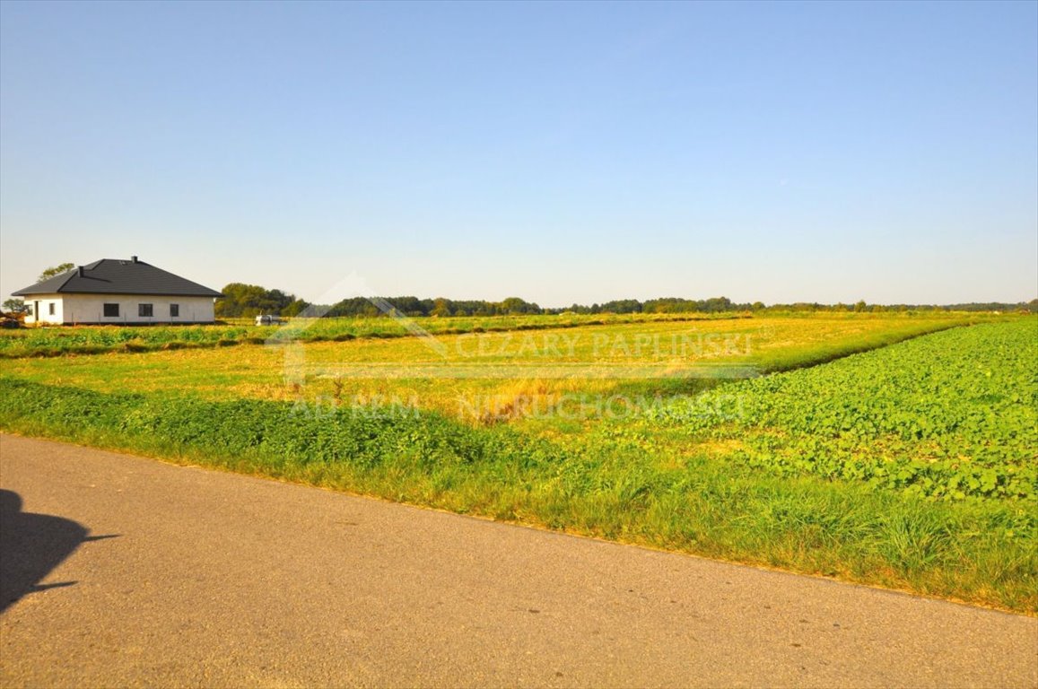 Działka budowlana na sprzedaż Radawiec Mały, Radawiec Mały  2 800m2 Foto 12