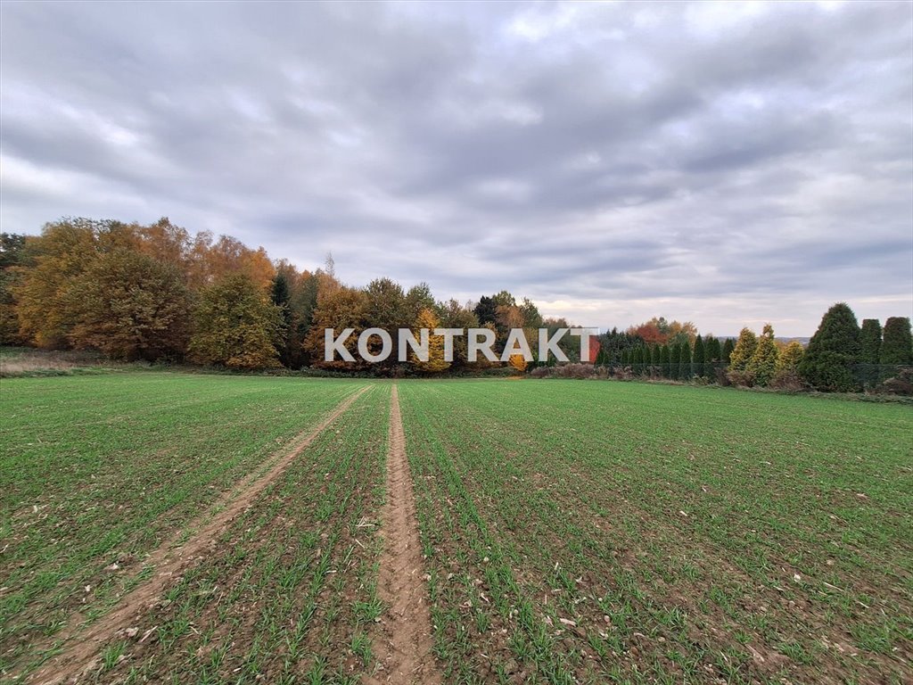 Działka budowlana na sprzedaż Osiek, Słoneczna  2 988m2 Foto 6