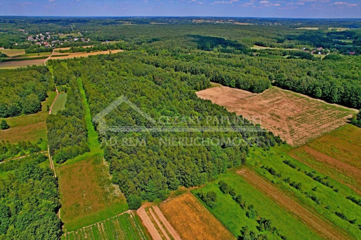 Działka rolna na sprzedaż Uściąż, Uściąż  40 000m2 Foto 5