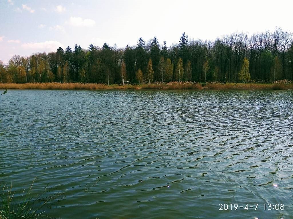 Działka inna na sprzedaż Zawidów, Ostróżno  37 019m2 Foto 20