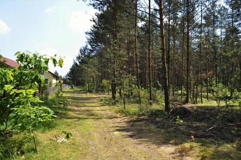 Działka rekreacyjna na sprzedaż Żarki-Letnisko, Żarki-Letnisko  1 000m2 Foto 1